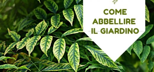 come abbellire il giardino